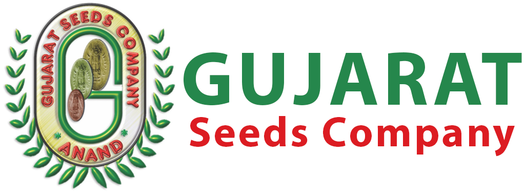 Gujarat Seeds Company