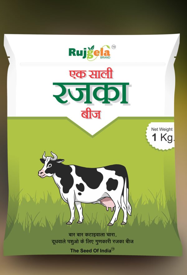 Rajka - Ek Saali