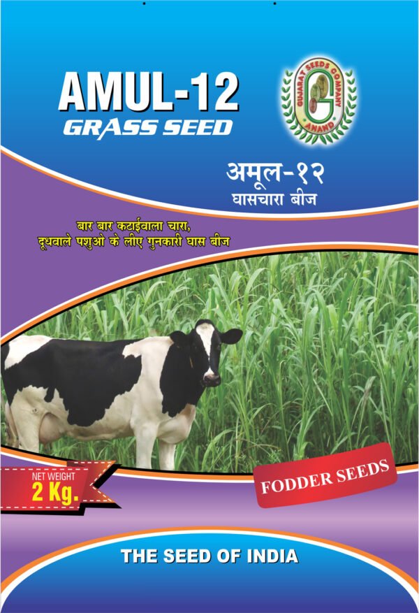 Amul 12