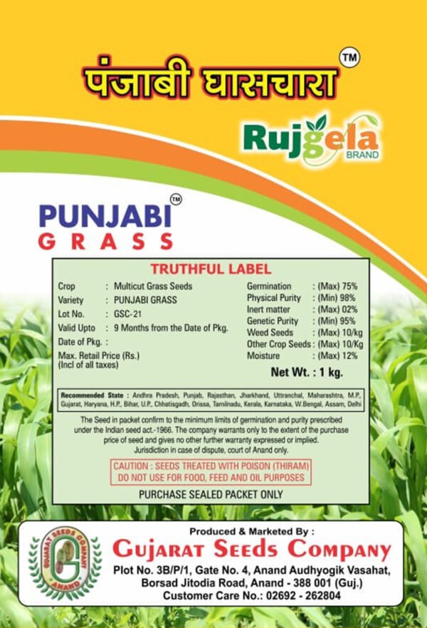 Punjabi Grass - Image 2