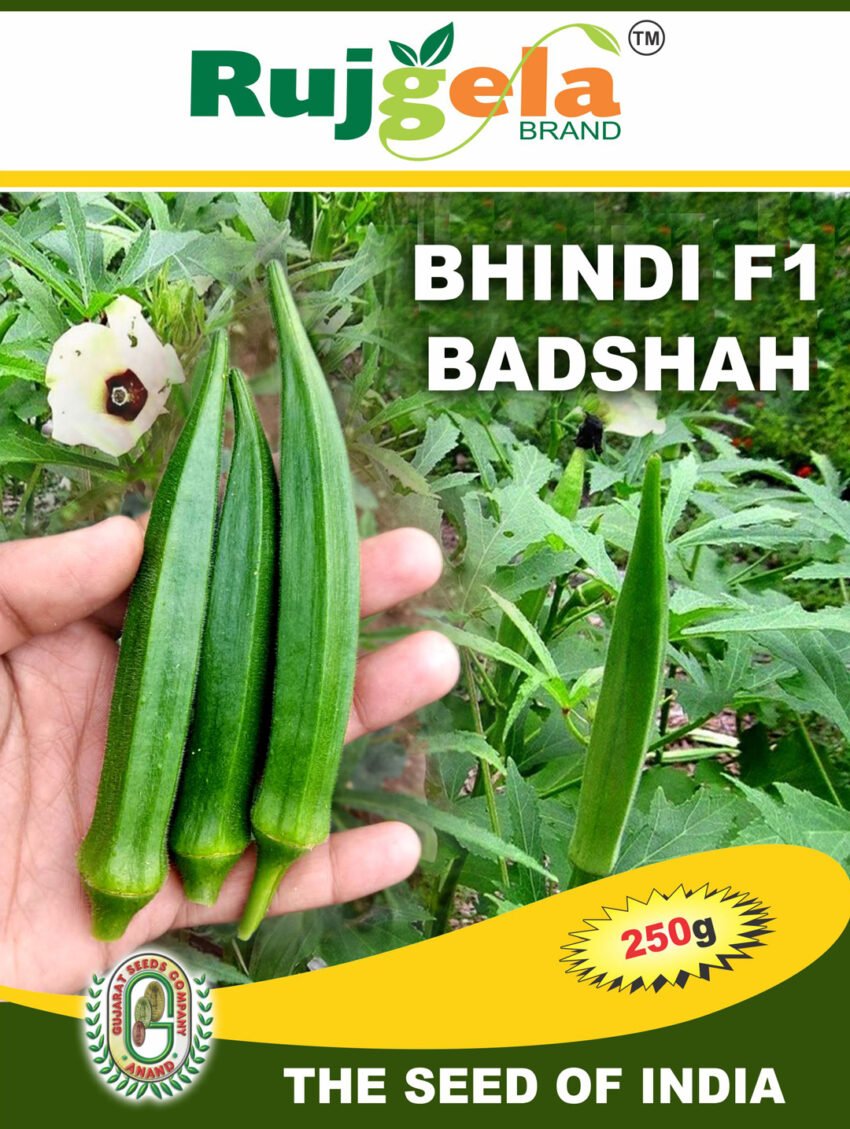 Badshah (Hybrid F1)
